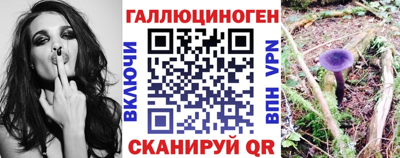 mega ССЫЛКА  Новомосковск  Псилоцибиновые грибы Magic Shrooms 