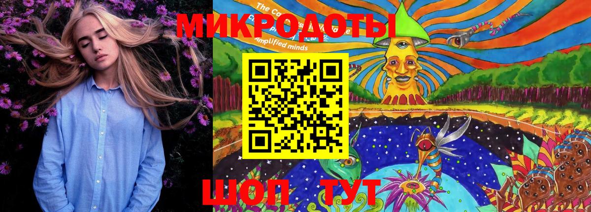 Новомосковск  Псилоцибиновые грибы Magic Shrooms  Псилоцибиновые грибы MAGIC MUSHROOMS  Вход с VPN 