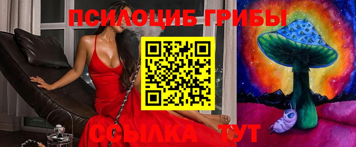 Галлюциногенные грибы Magic Shrooms  Новомосковск  Псилоцибиновые грибы ЛСД 